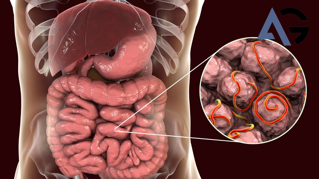 parasitos.jpg parasitos.jpg