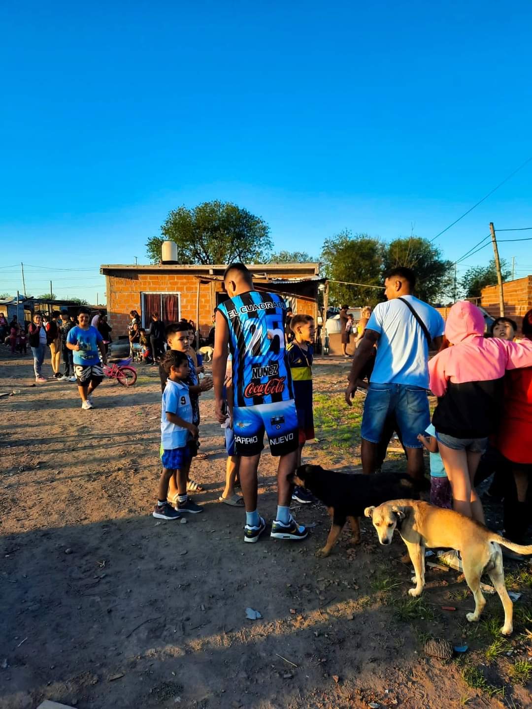 WhatsApp-Image-2025-07-15-at-20.46.56.jpeg WhatsApp-Image-2025-07-15-at-20.46.56.jpeg